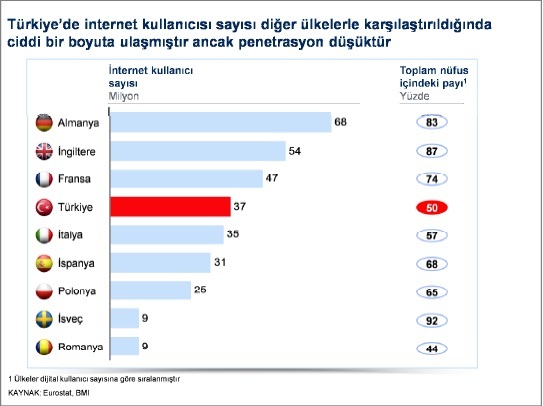 Türkiye İnternet Kullanıcı Sayısı